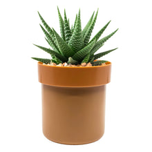 Load image into Gallery viewer, Secret Safe ™ Flower Pot With Key Lock