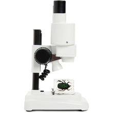 Load image into Gallery viewer, CELESTRON LABS S20 Stereo Microscope