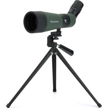 Load image into Gallery viewer, Celestron LandScout 12-36x60 Spotting Scope Digiscope Kit (Angled Viewing)
