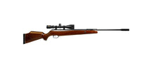 Load image into Gallery viewer, BEEMAN MATCH SPORTMAN SERIES 12.5 CAL .177