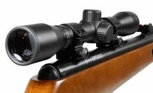Load image into Gallery viewer, CROSMAN OPTIMUS .177 CAL