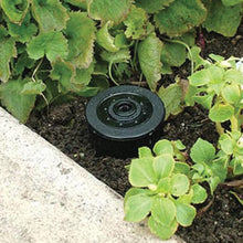 Load image into Gallery viewer, Sprinkler Key Hider