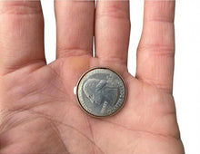 Load image into Gallery viewer, Pen-Thru-Quarter Magic Coin Trick
