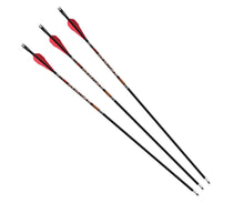 Load image into Gallery viewer, BARNETT ARROWS ARCHERY
