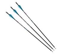 Load image into Gallery viewer, BARNETT ARROWS ARCHERY
