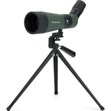 Load image into Gallery viewer, Celestron LandScout 12-36x60 Spotting Scope Digiscope Kit (Angled Viewing)
